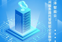 龙泽智能云：郑州服务器托管赋能企业数字化 - 算力圈